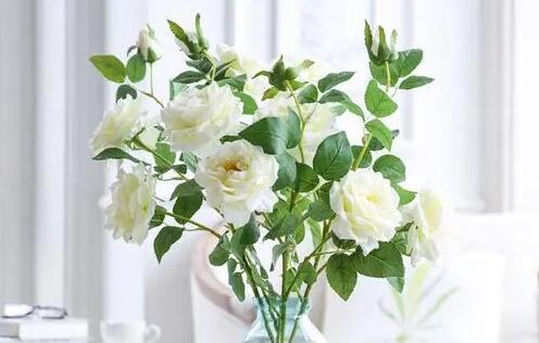 紫花地丁香花语