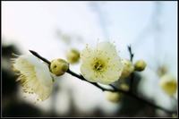 初冬季节钓鱼的五个要点