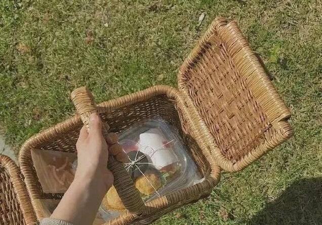 大丽花的花语以及种植品种知识分享