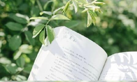 海棠花语