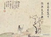 十二月生日花语