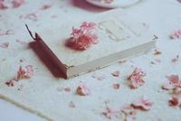 紫花地丁香花语