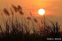 曼陀沙华花语寓意 曼珠沙华的传说