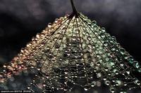 怎么判断雨天是否适宜钓鱼的技巧详解