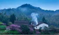 水仙花花语 水仙花花语是什么