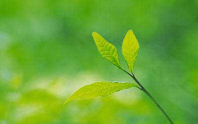 冬季钓鲤鱼在用饵钓法渔具配置上的技巧