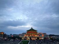 紫丁香花语