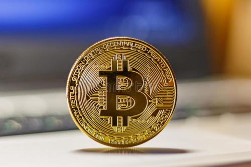 欧洲报春和报春花的区别，报春花花语