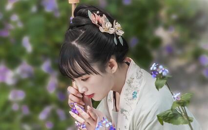 白花紫露草几月开花，白花紫露草花语/夏秋/花语纯真无邪