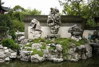 白菊花代表什么意思 白菊的花语和寓意