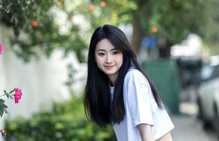 菊花花语