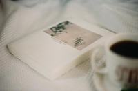 茉莉花的花语，你属于我
