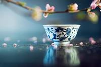粉色和红色康乃馨代表什么 红色和粉色康乃馨花语是什么