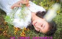牵牛花花语 牵牛花花语是什么