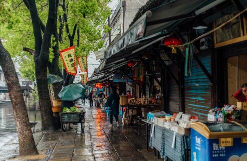 花语“凤仙花”表示什么