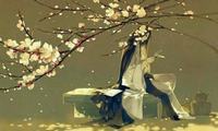 发财树的花语，财源滚滚兴旺发达
