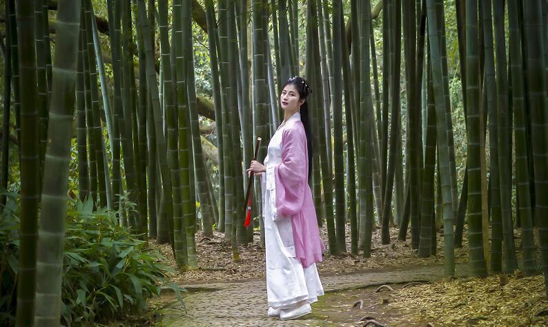 山茶花花语，代表胜利之花