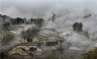 浅谈夏季野钓的技巧（天气、钓组、钓位、钓饵等）