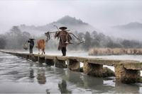 怎样防治鳜鱼细菌性烂鳃病