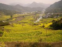 池塘钓和野钓的区别详解