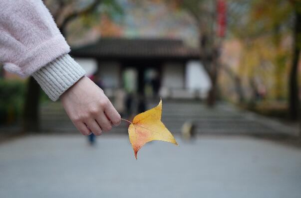 浅谈鲫鱼的七个习性