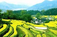 夏天出钓鲫鱼的四个应对技巧