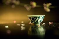 鸡蛋花的花语，充满希望的花儿