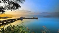 四季秋海棠花语是什么，四季秋海棠的花语和传说/快乐聪慧